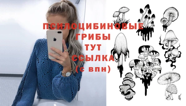 марки nbome Красноперекопск