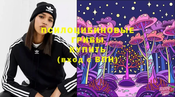 гидра Балахна