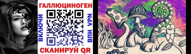 blacksprut рабочий сайт  Беслан  Галлюциногенные грибы Cubensis  цена  